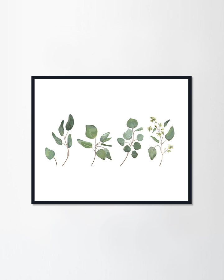 Eucalyptus seeded silver dollar tree