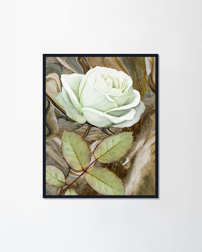 White roses