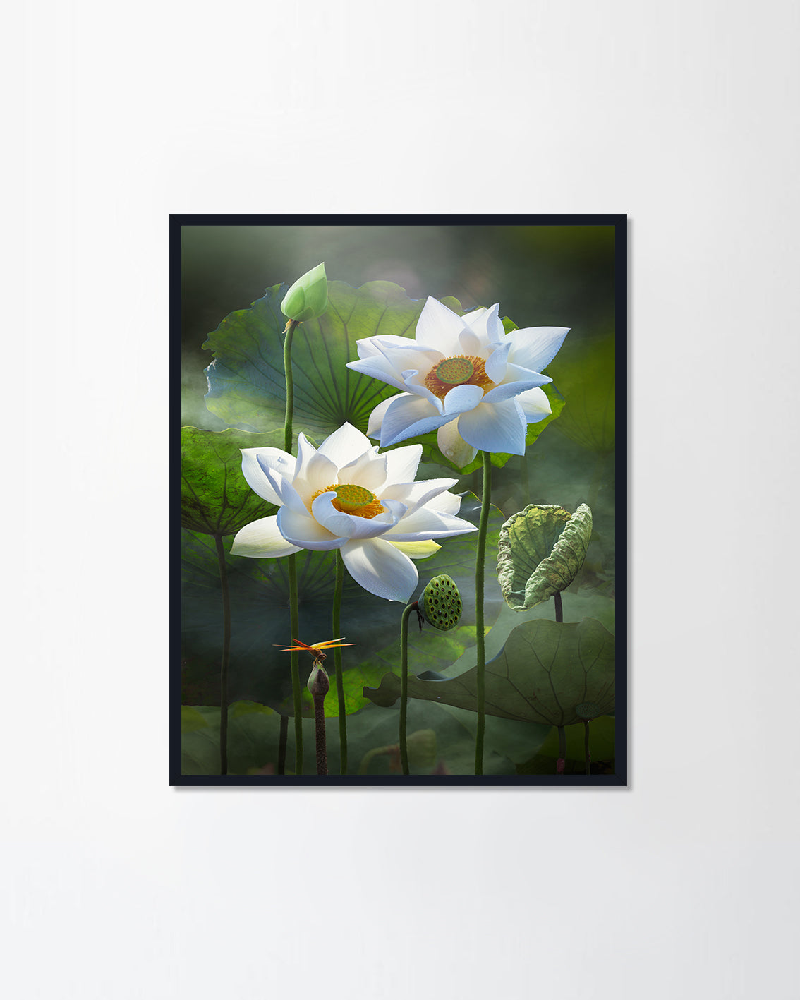 Pure white lotus flower