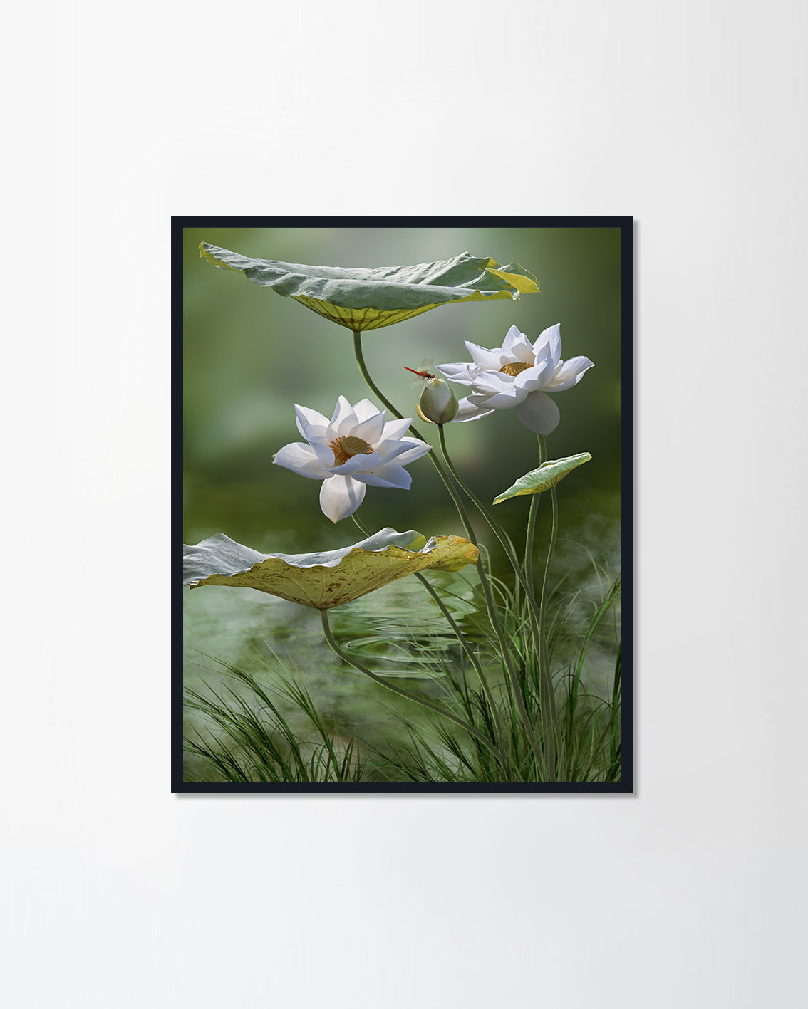 White lotus flower in lake