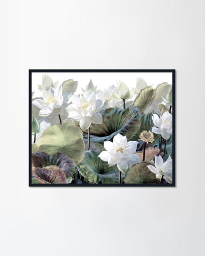 The scenic Lotus flowers (Canvas)