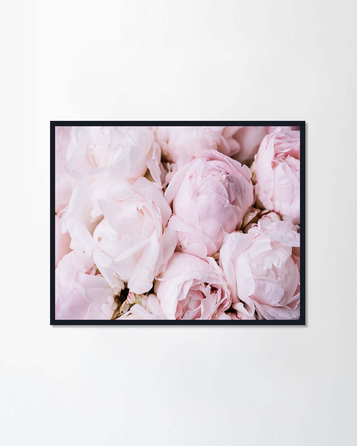 Aromatic fresh blossoming