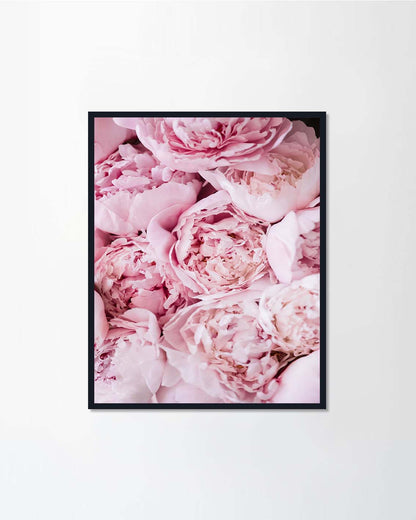 Rose Pink