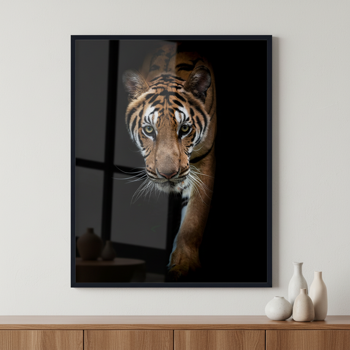 Headshot of Indochinese tiger