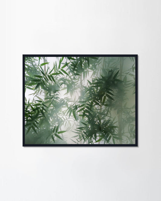 tropical bamboo trees behind the frosted glass