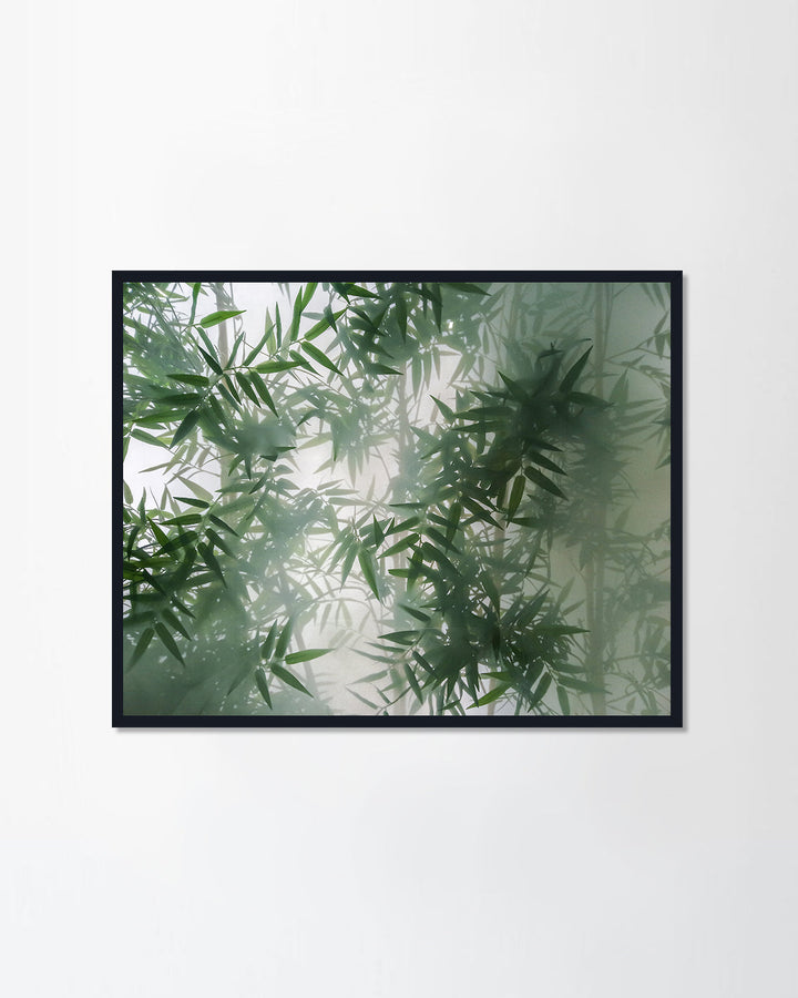 tropical bamboo trees behind the frosted glass