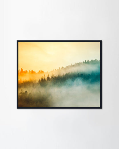 Sunrise in forestedt