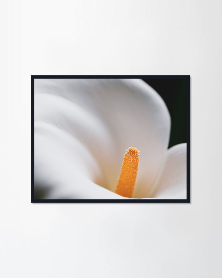 Fragility & freshness