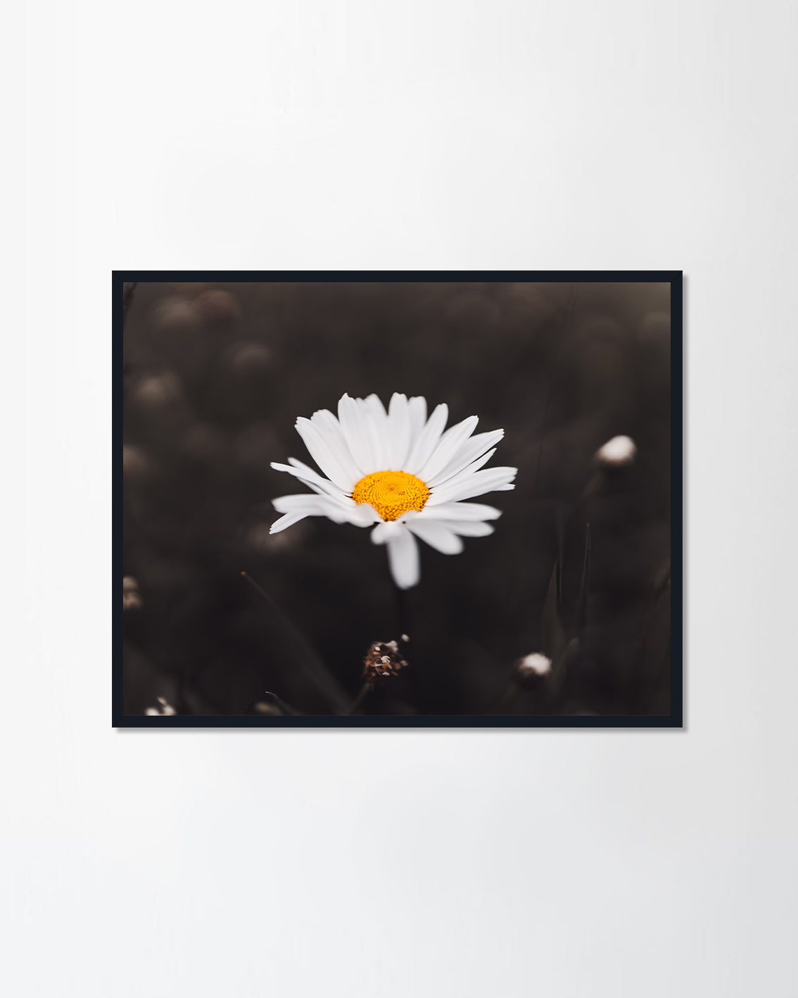 A warm sunny day (Canvas)