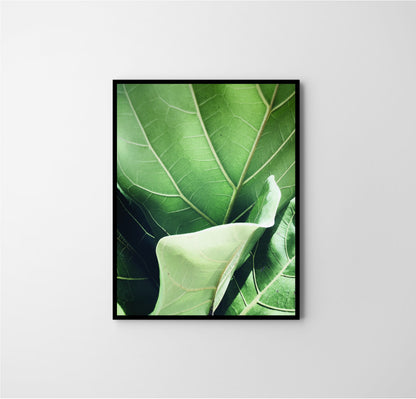 Green leave