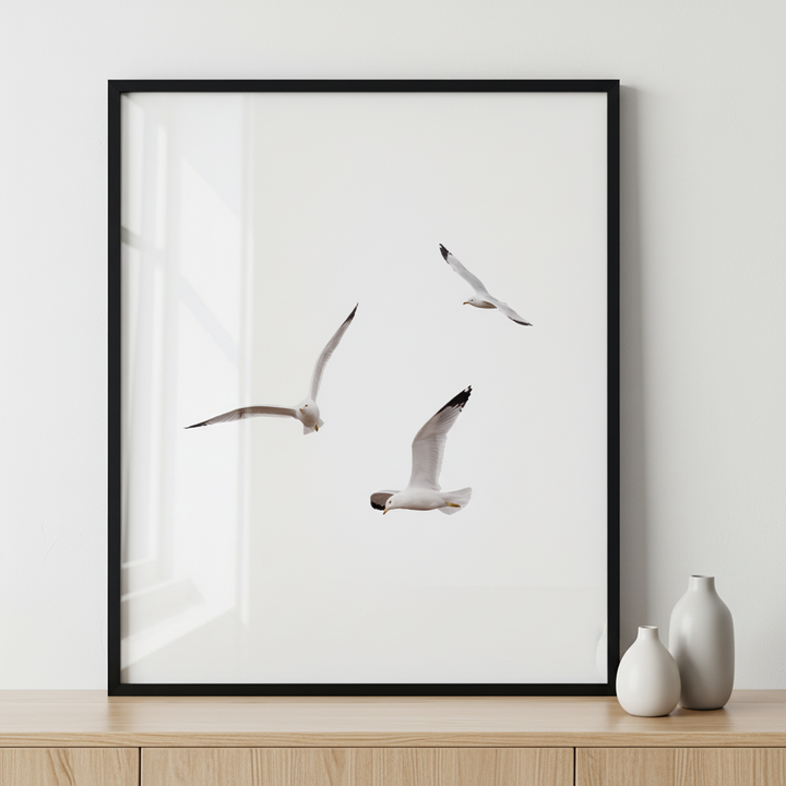 Ring-billed Gulls ภาพติดผังสไตล์สแกนดิเนเวีย สำหรับตกแต่งบ้านและคอนโด พร้อมกรอบคุณภาพ
