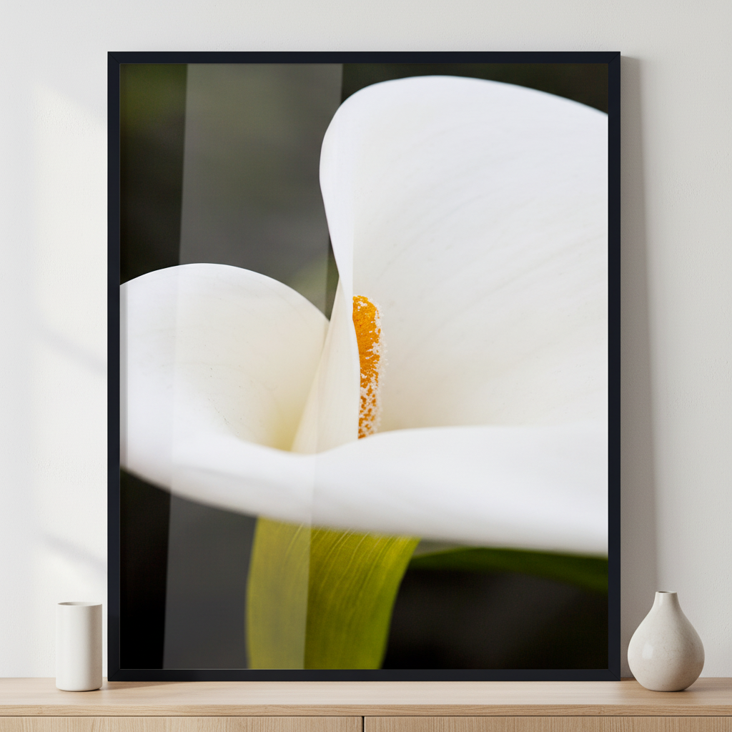Calla Lily ภาพติดผังสไตล์สแกนดิเนเวีย สำหรับตกแต่งบ้านและคอนโด พร้อมกรอบคุณภาพ