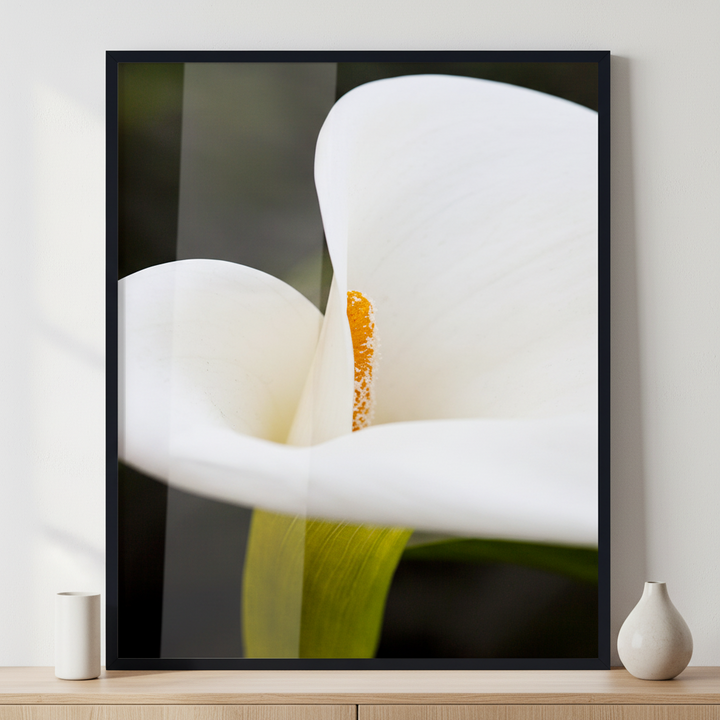 Calla Lily ภาพติดผังสไตล์สแกนดิเนเวีย สำหรับตกแต่งบ้านและคอนโด พร้อมกรอบคุณภาพ