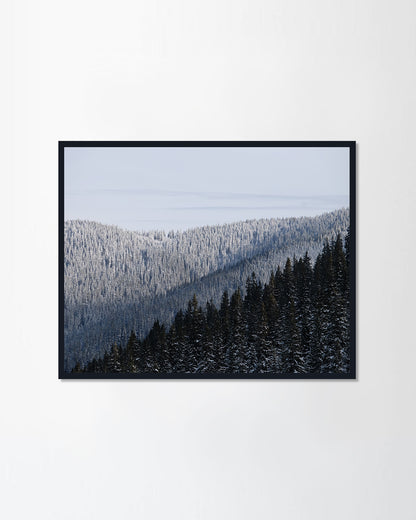 Beauty of winter