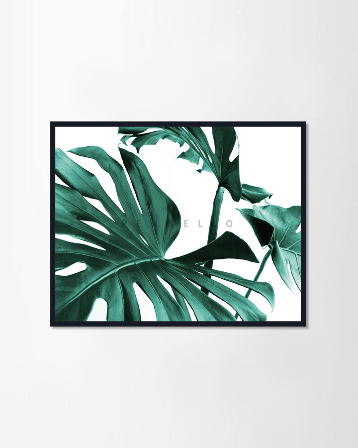 Monstera Leaves