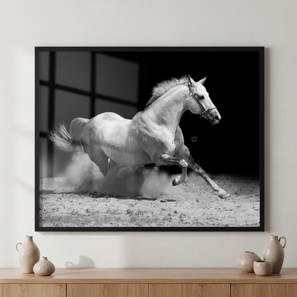 White stallion on black ภาพติดผังสไตล์สแกนดิเนเวีย สำหรับตกแต่งบ้านและคอนโด พร้อมกรอบคุณภาพ