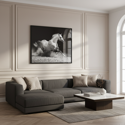 White stallion on black