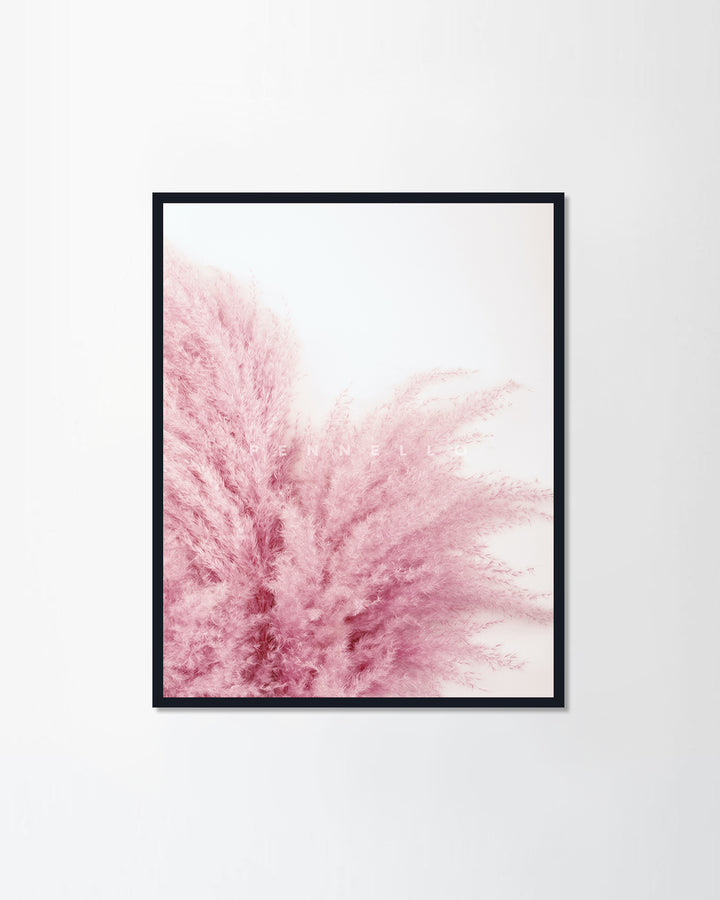 Fluffy pampas grass pink color