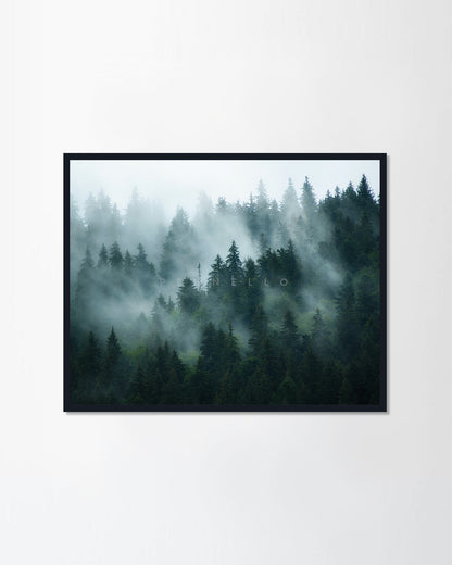 Misty