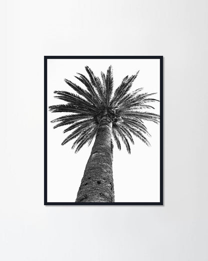 The Tree