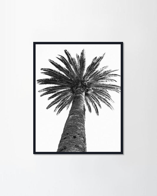 The Tree