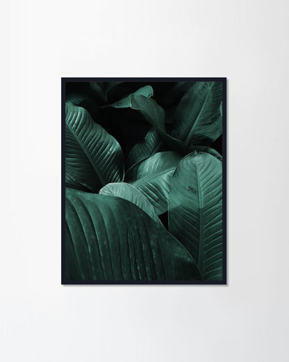 Green leaf