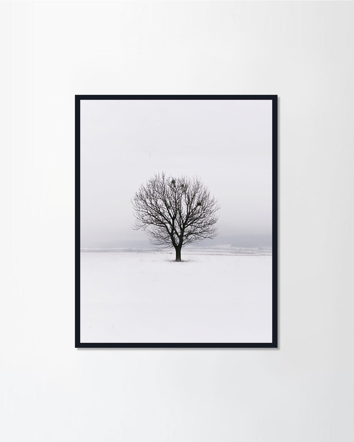 White Series