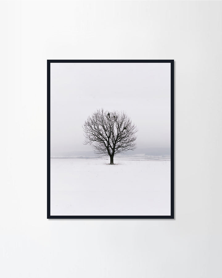 White Series