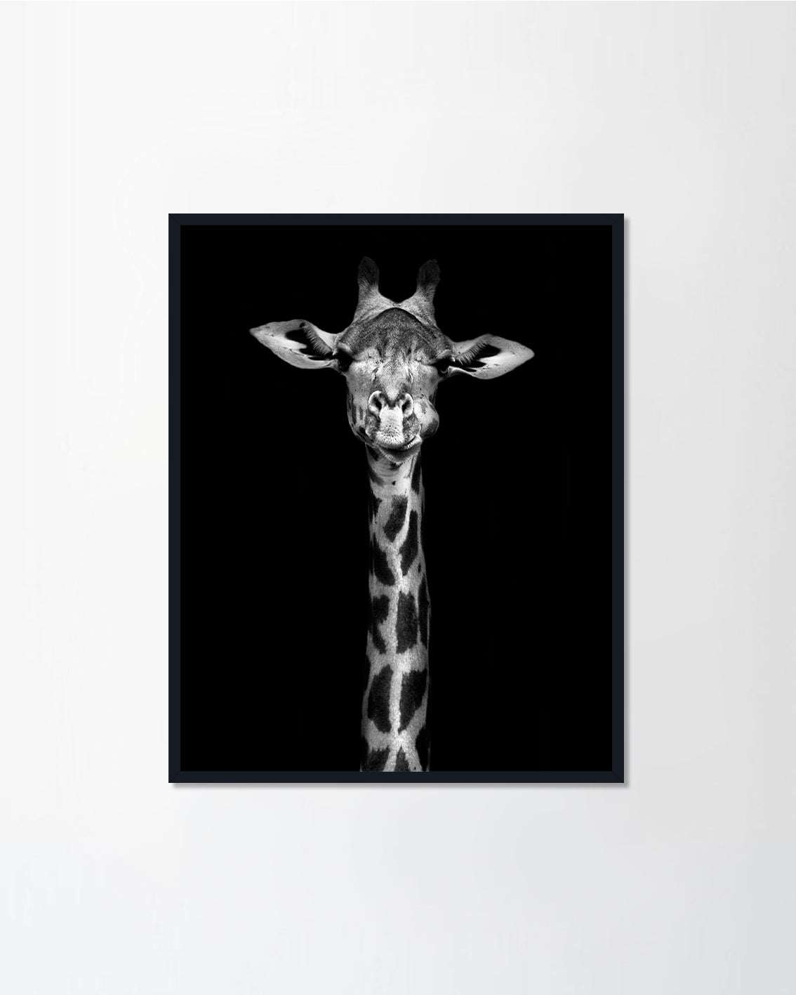Giraffe Poster