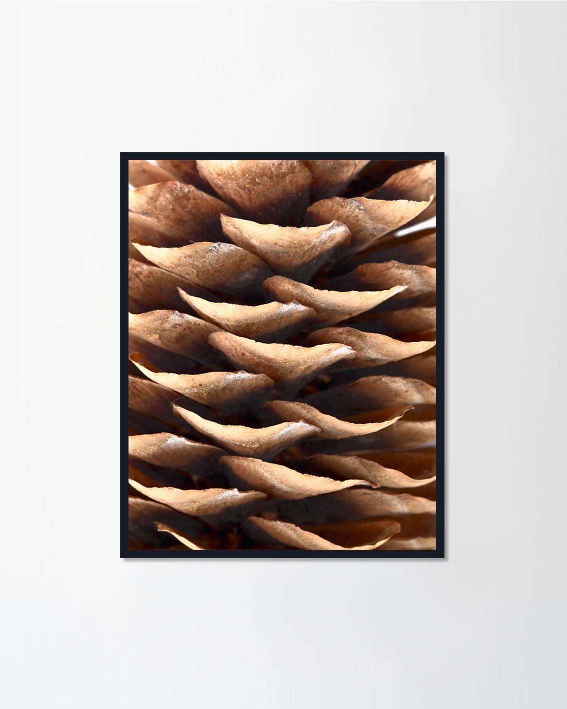 Natural christmas large pinecones