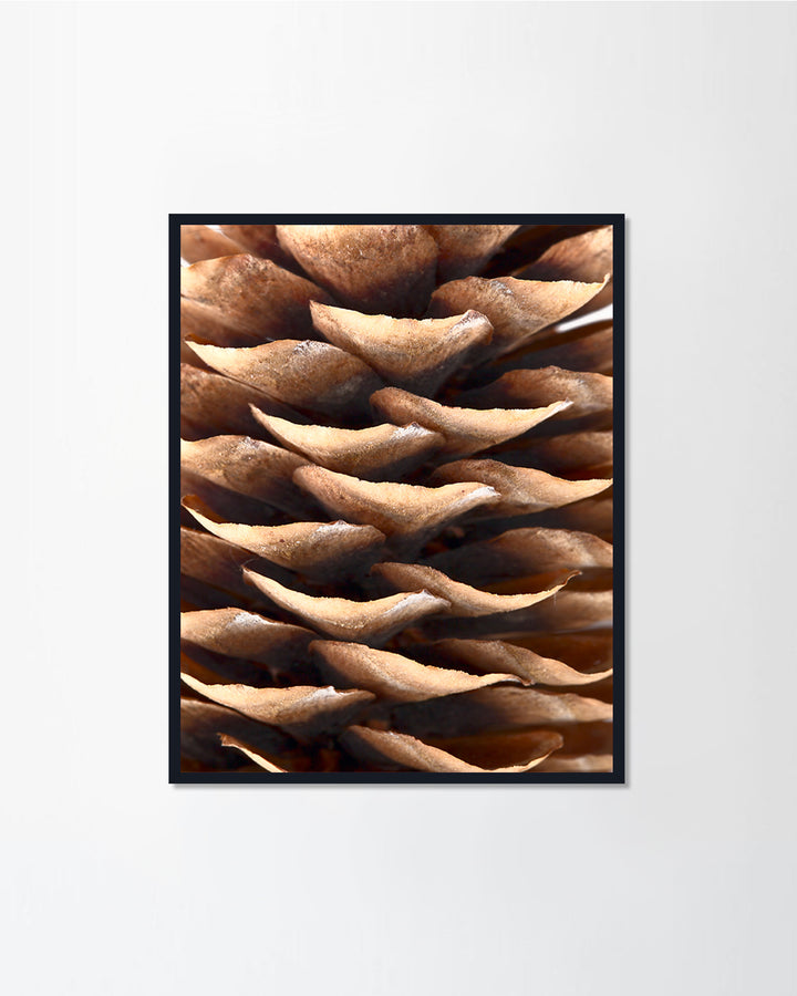 Natural christmas large pinecones