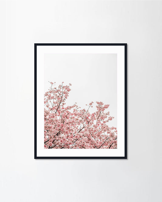 Romantic Flower2