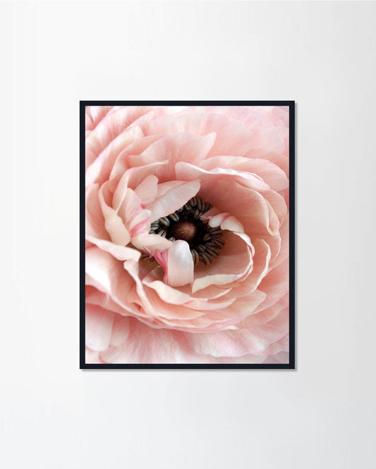 Romantic Flower3