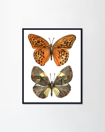 Butterfly II
