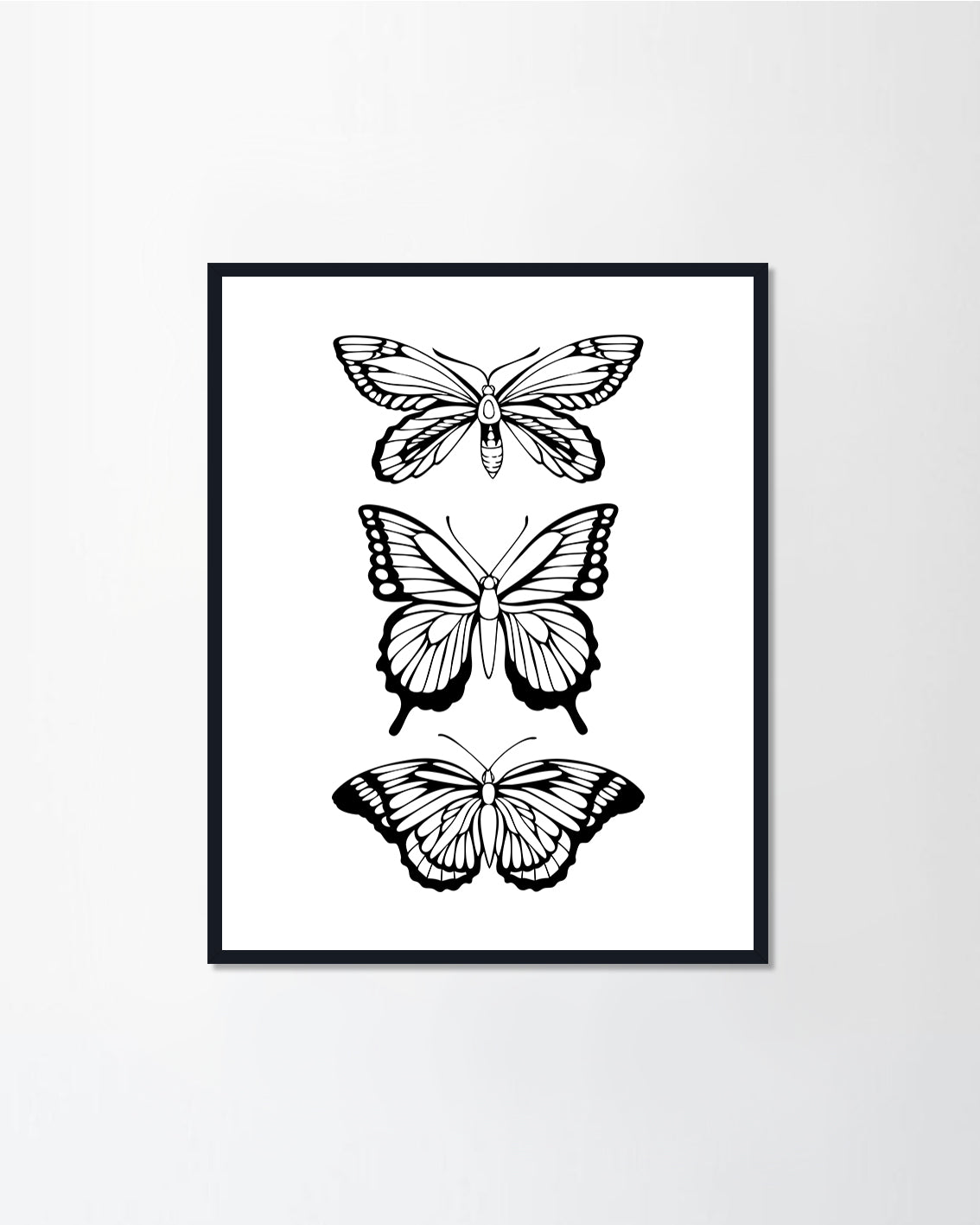 Beautiful black butterfly