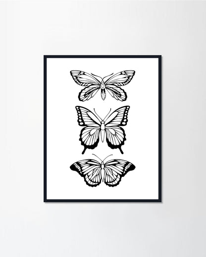 Beautiful black butterfly