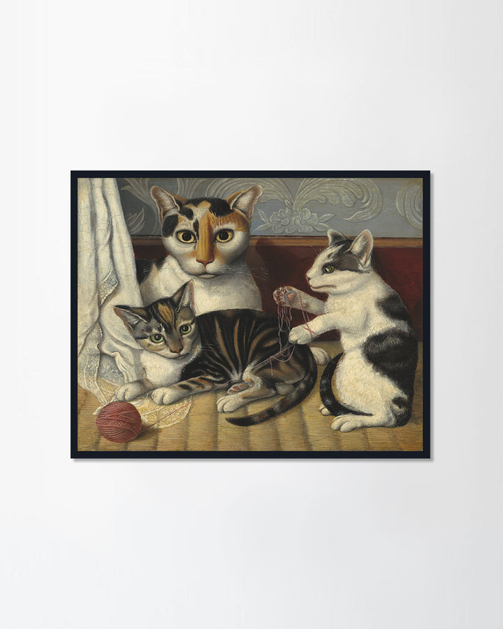 Cat and Kittens