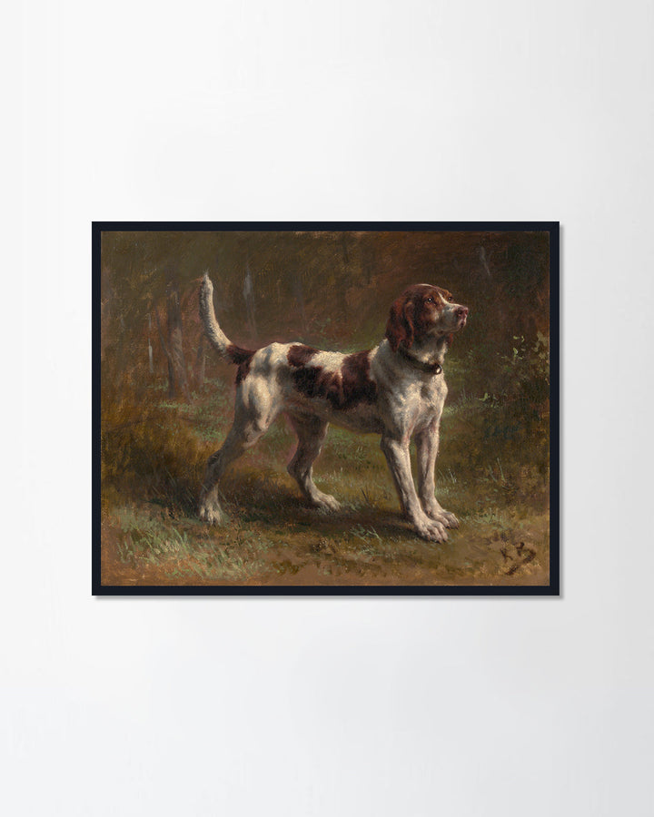 A LIMIER BRIQUET HOUND