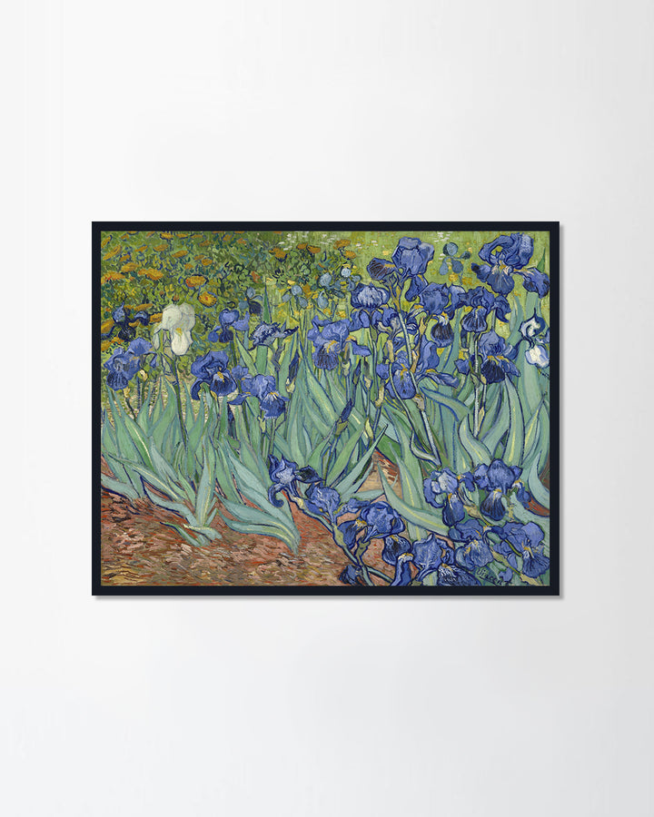 Irises