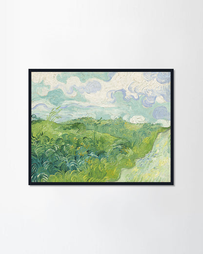 Green Wheat Fields