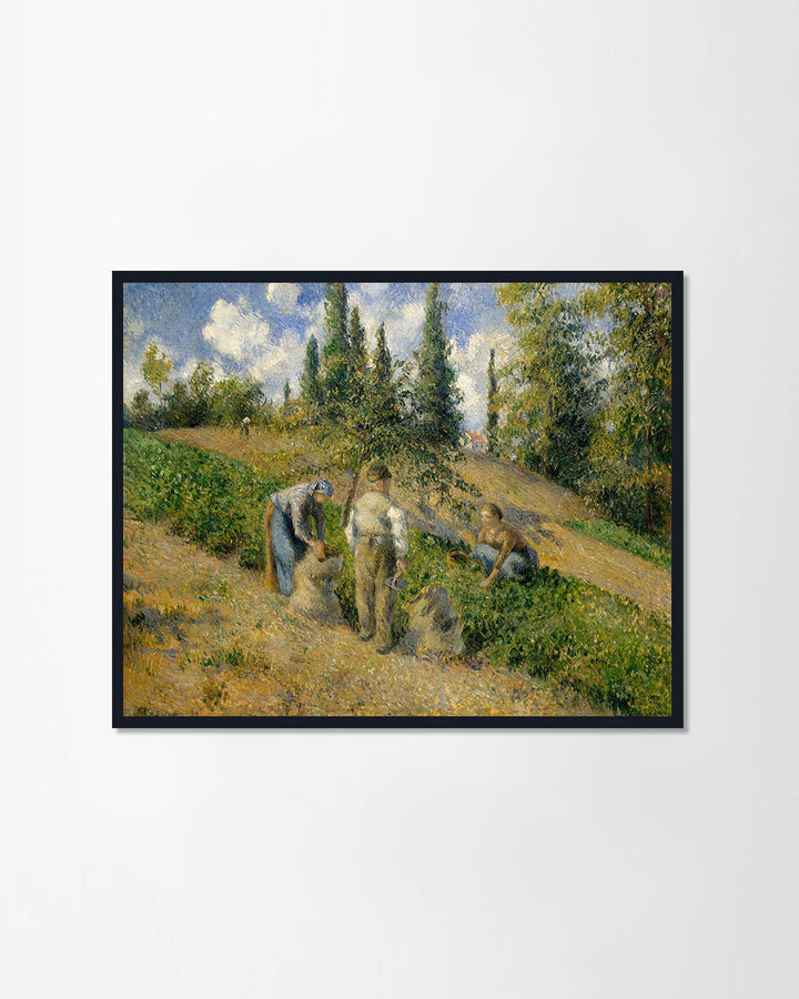 The Harvest, Pontoise