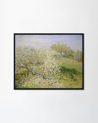 Spring