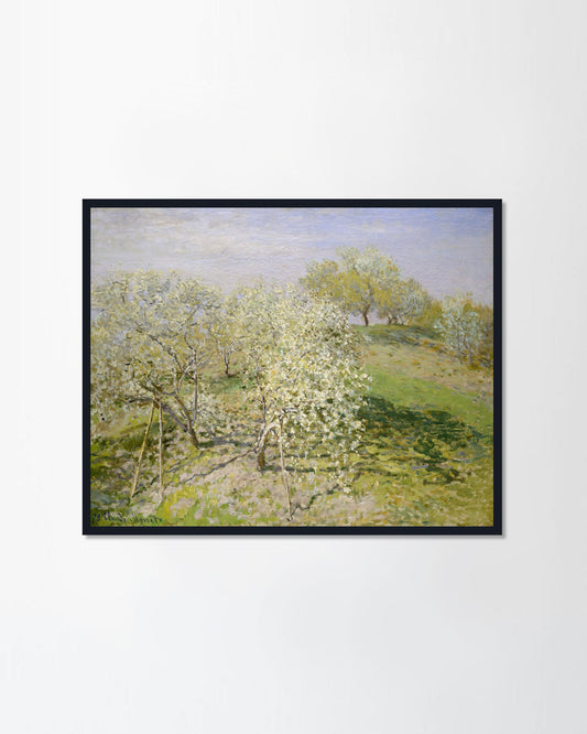 Spring