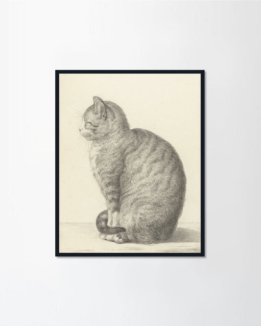 Sitting Cat