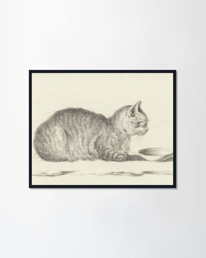 Lying Cat