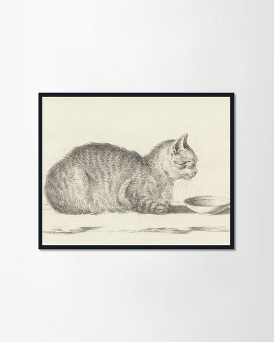 Lying Cat