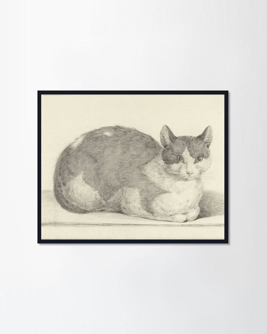 Sitting Cat