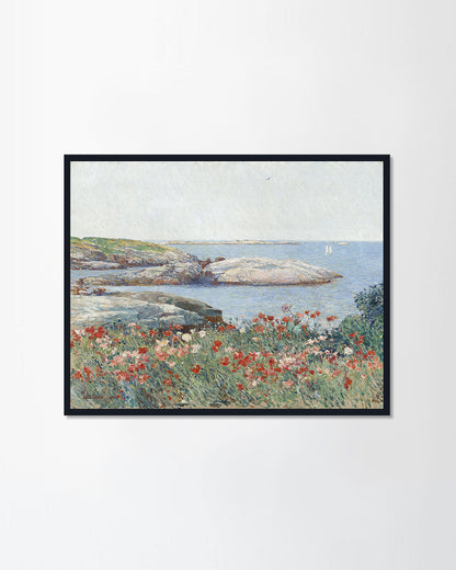 Poppies
