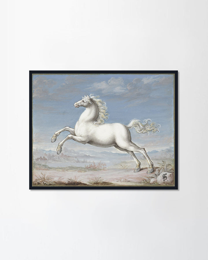 White Horse