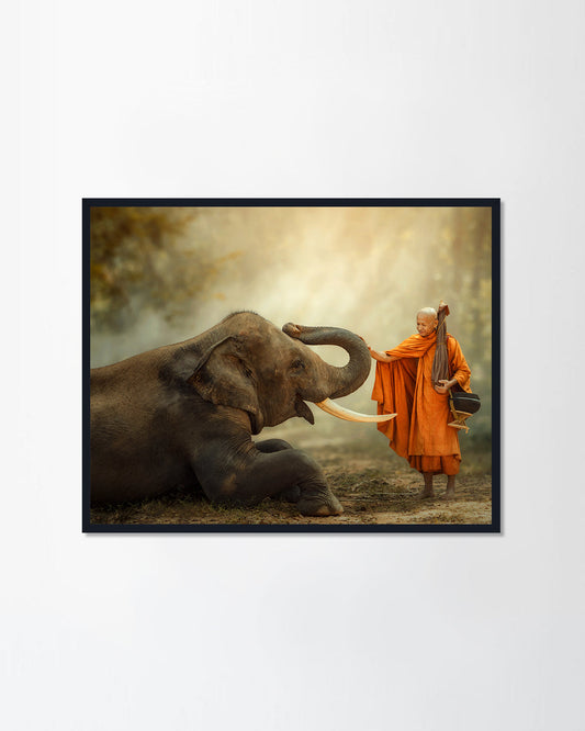 Monk
